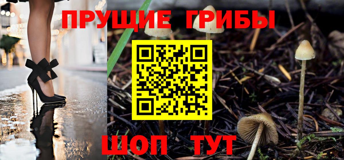 Сочи  Псилоцибиновые грибы мицелий  Вход с VPN 